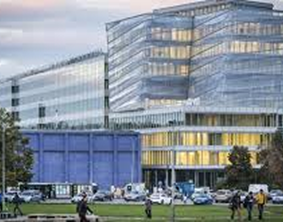 University